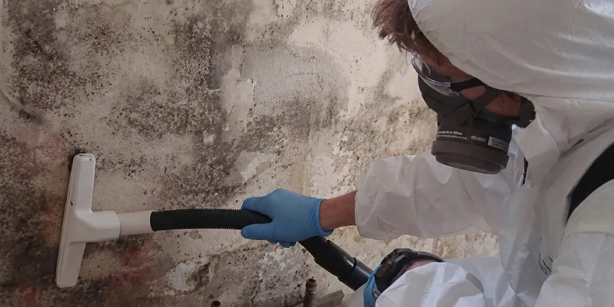 professional mold removal technician wearing protective equipment removing mold from a wall in Bradenton, FL